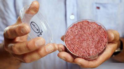 شرکت «Impossible Foods» با سرمایه گذاری ۲۵۰ میلیون دلار توسط بیل گیتس و گوگل مصمم است محصولات جایگزین گوشت تولید کند